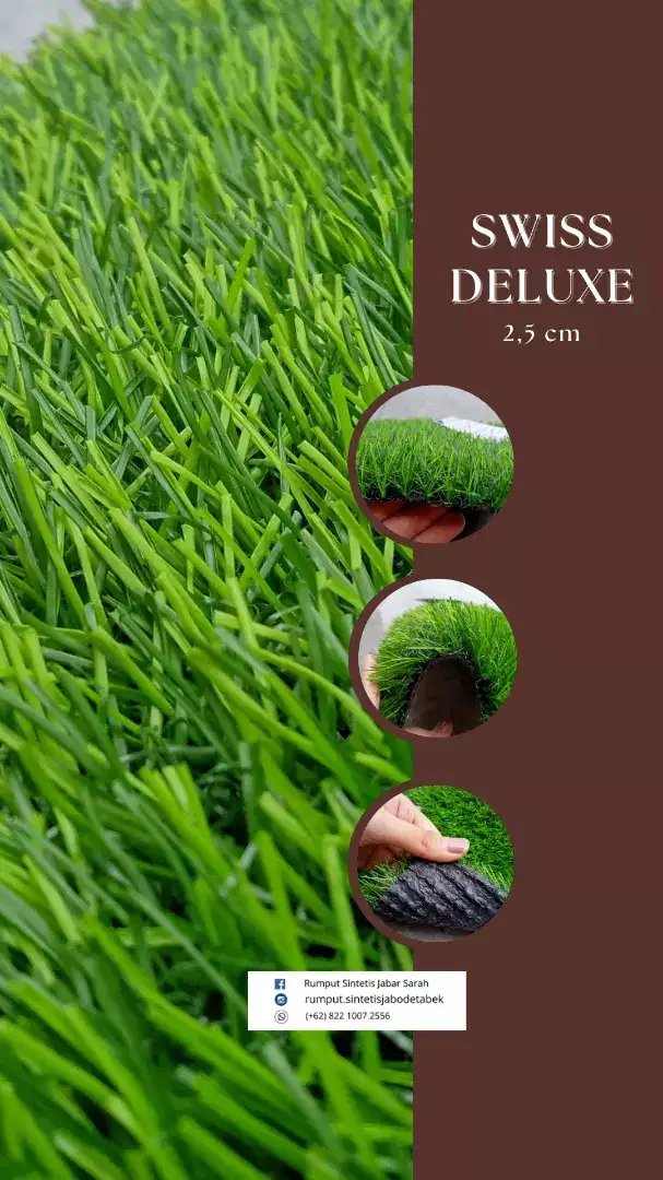 Dekorasi Taman Rumput Sintetis, Swiss Deluxe 2,5