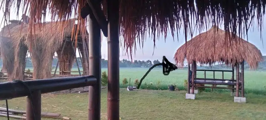 Saung Gazebo Bambu Kokoh Atap Alang-Alang Bersantai