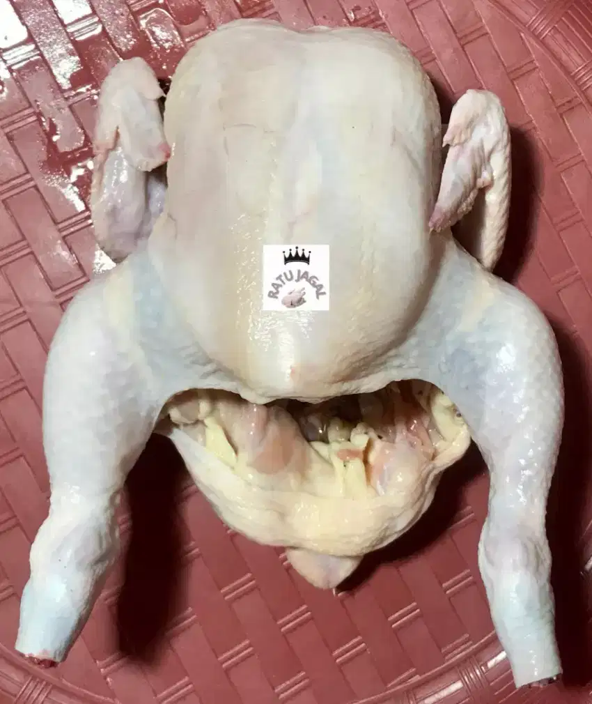 Ayam potong daging fresh segar ( langsung dari peternakan sendiri )