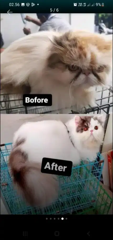 JURAGAN Grooming panggilan