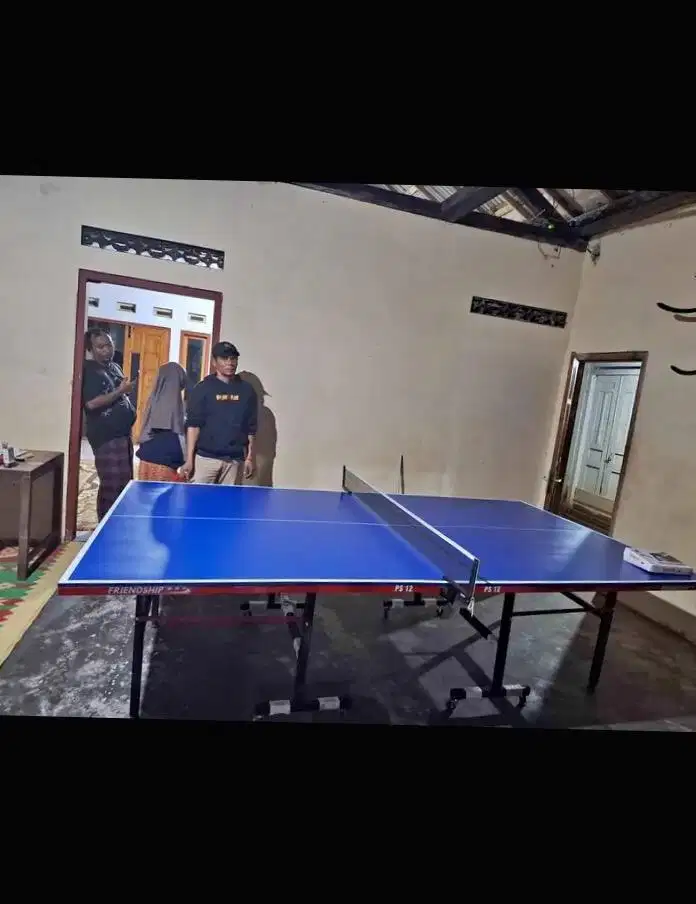 Tennis meja pingpong murahh