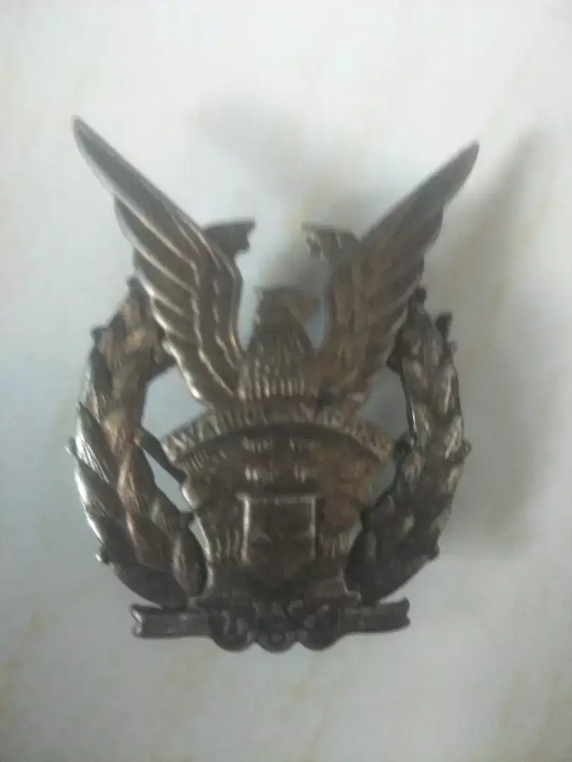 MILITARY SYMBOL FOR YOUR COLLECTION.