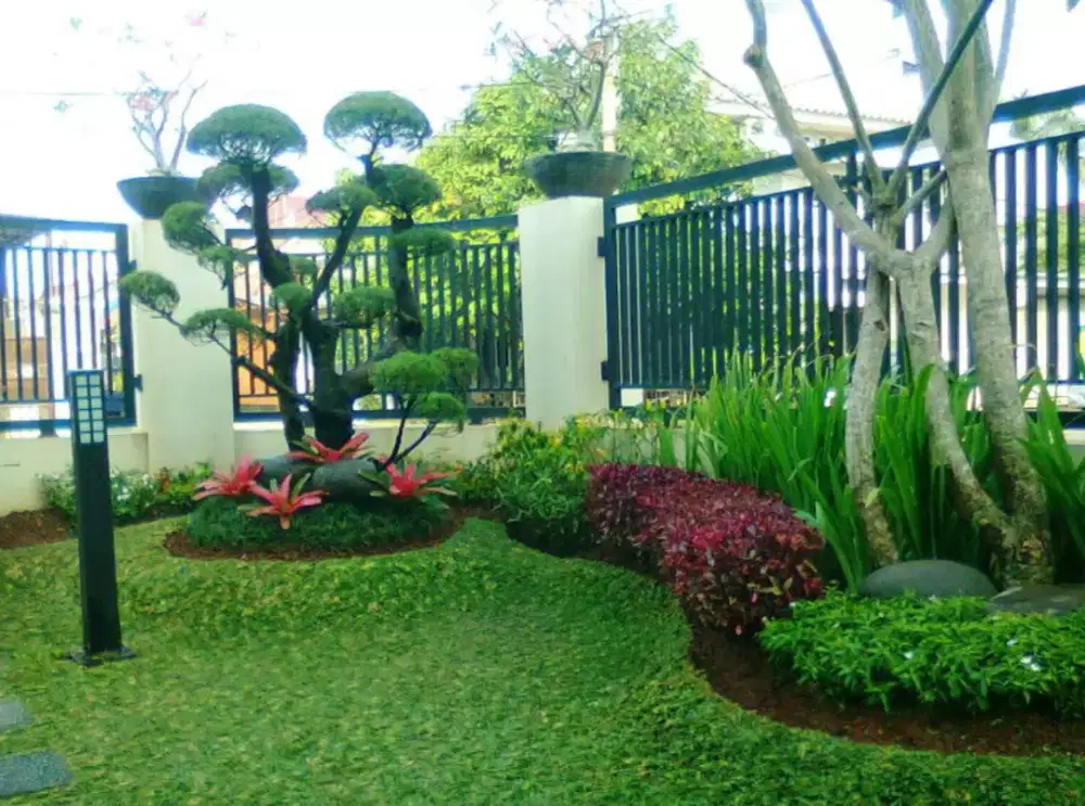 TUKANG TAMAN || Jasa pembuatan taman