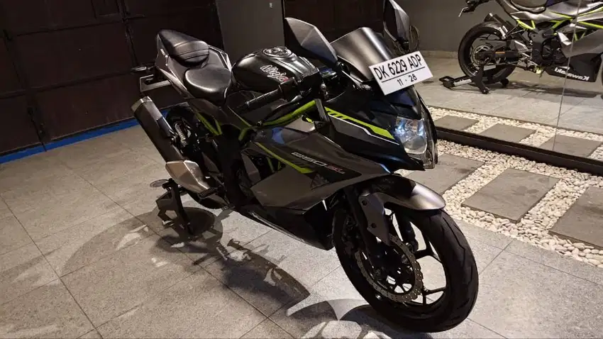 Ninja 250 SL 2018