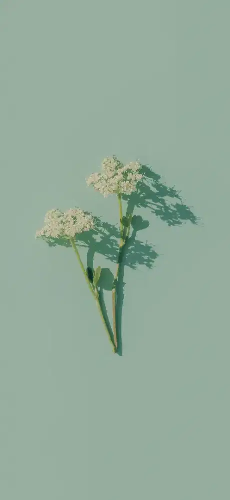 Cari art nginap di Jakarta pusat cempaka putih