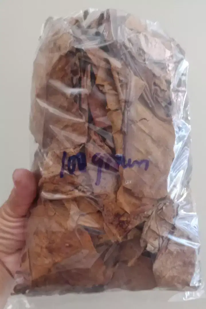 Daun KETAPANG laut olahan kemasan