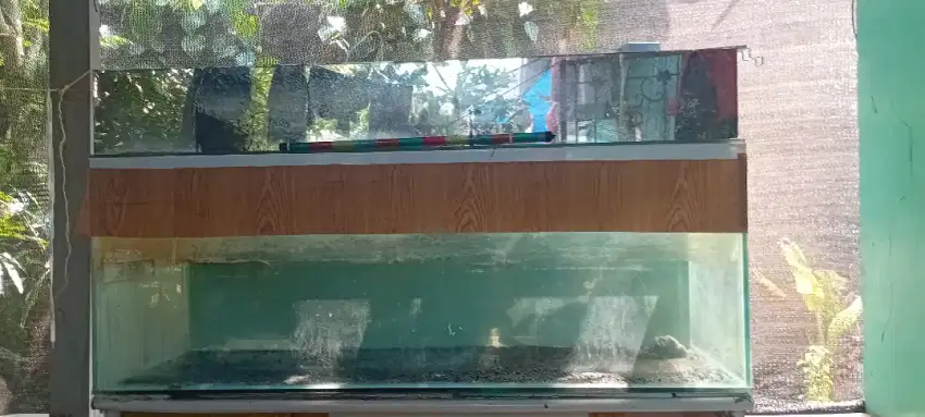 Di jual aquarium 1,5mx40cm tinggi 50cm