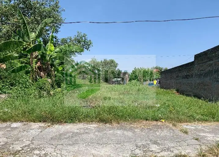 Tanah Pekarangan Hadap 2 Jalan Dengan View Sawah & Jalan Tol