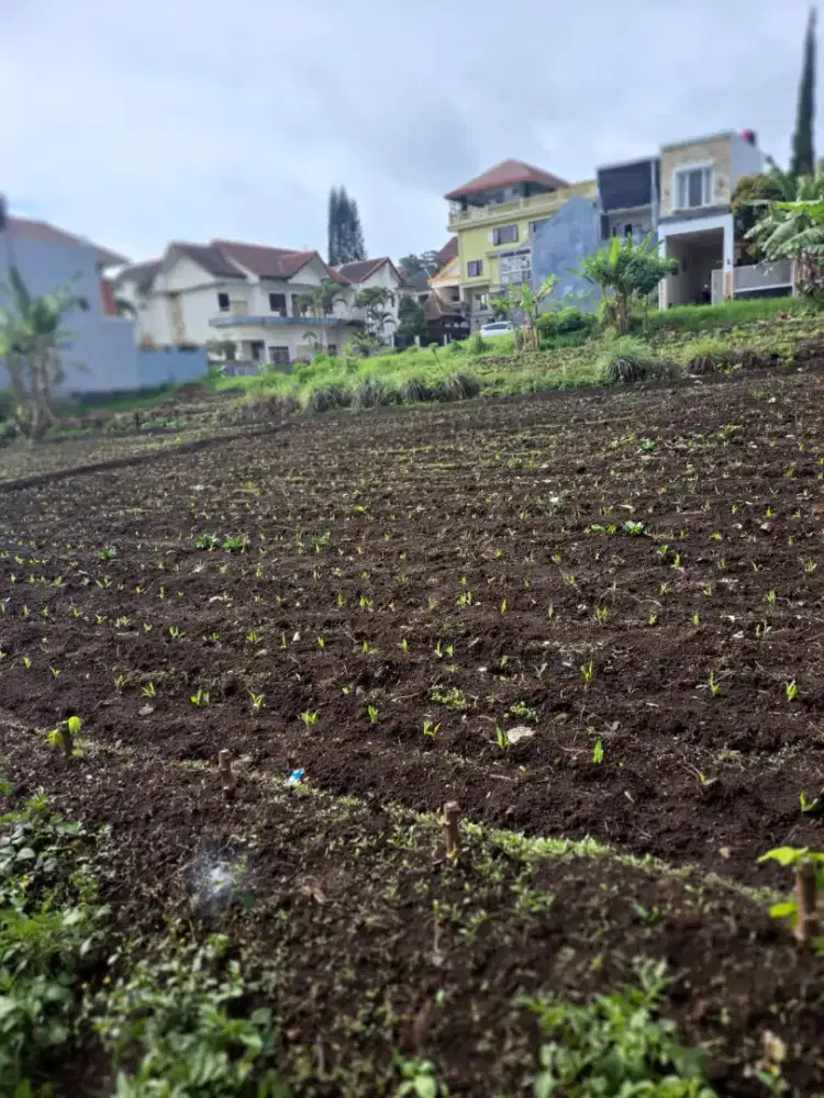 Tanah murah strategis dekat Jatim Park 1