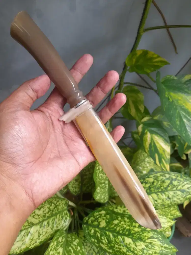 Pisau sembelih tanduk bule