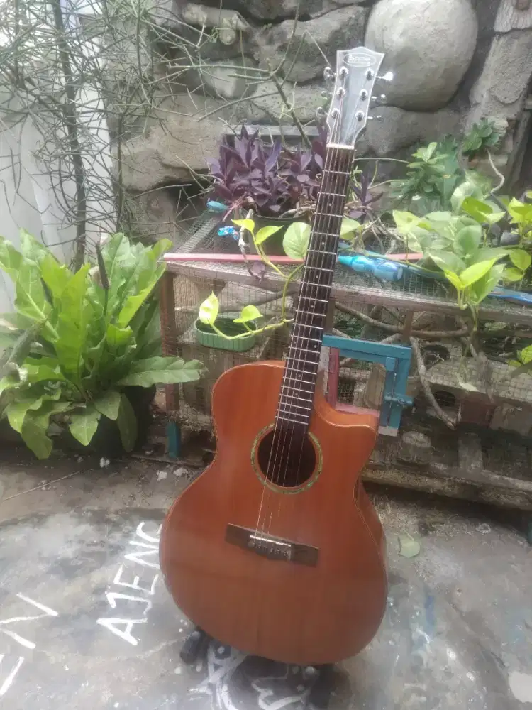 Di jual gitar akustik electrik sqoe s360t SK origunal (Net)