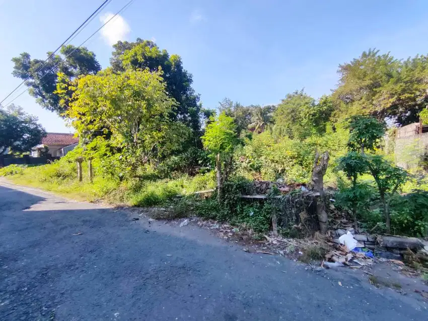 Tanah 550m² di Kadisoka Sleman – Lingkungan Asri
