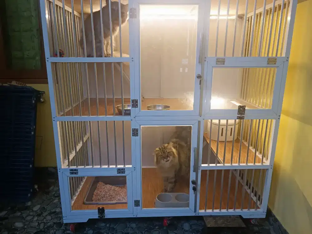 Kandang Kucing 2 Lantai