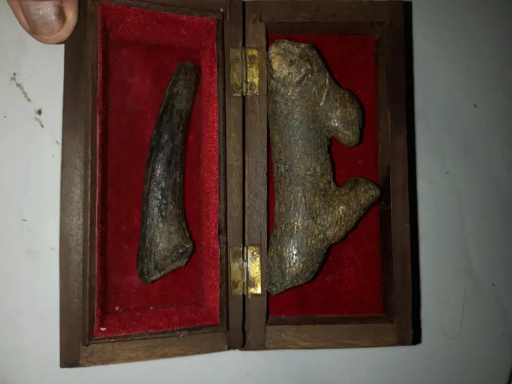 Warisan bagi yg paham