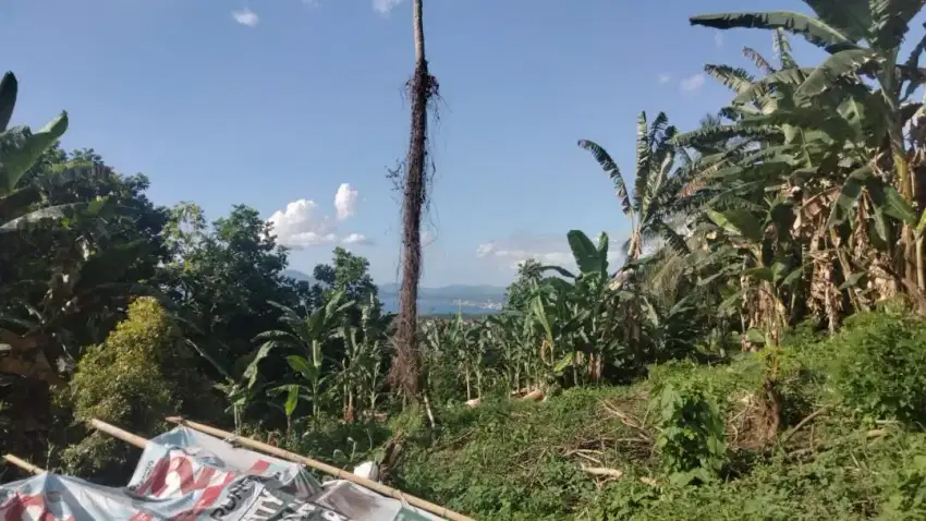 Tanah murah view kota Manado, bandara dan pulau Bunaken Manado tua