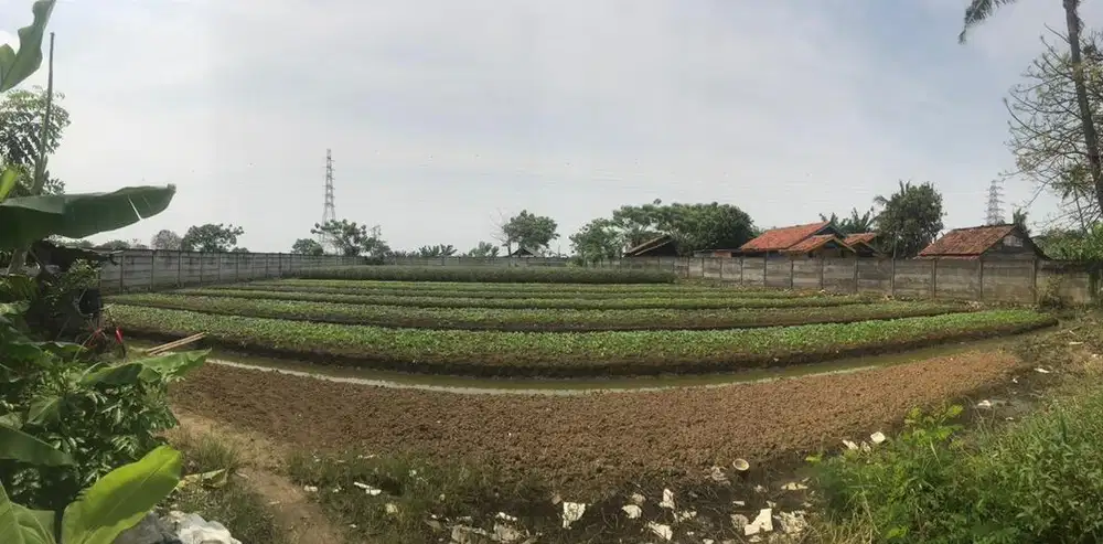 Dijual tanah teluk naga pik 2 luas 3000 m