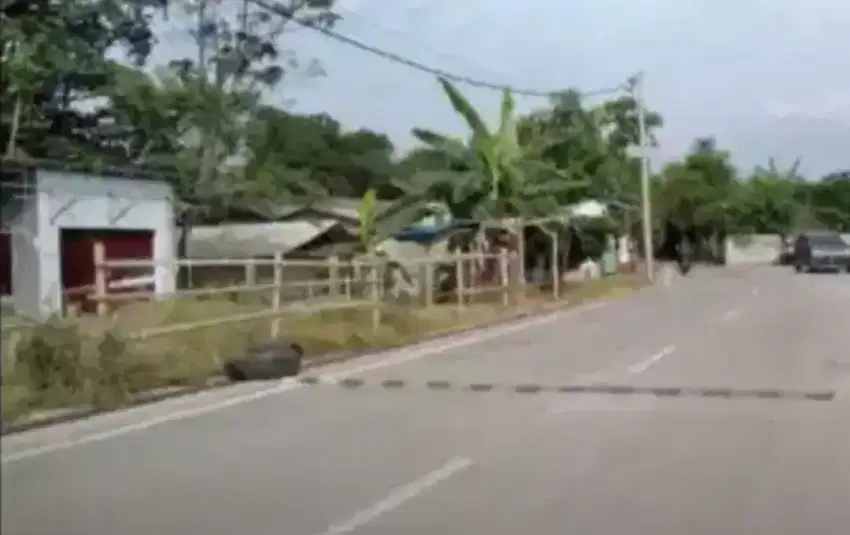Tanah jalan utama Summarecon cibanon