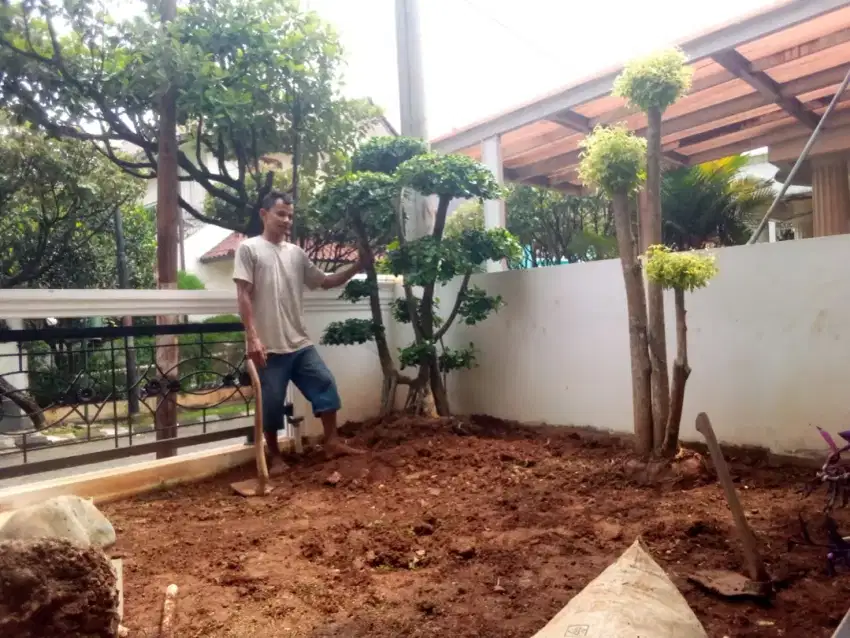 taman minimalis murah