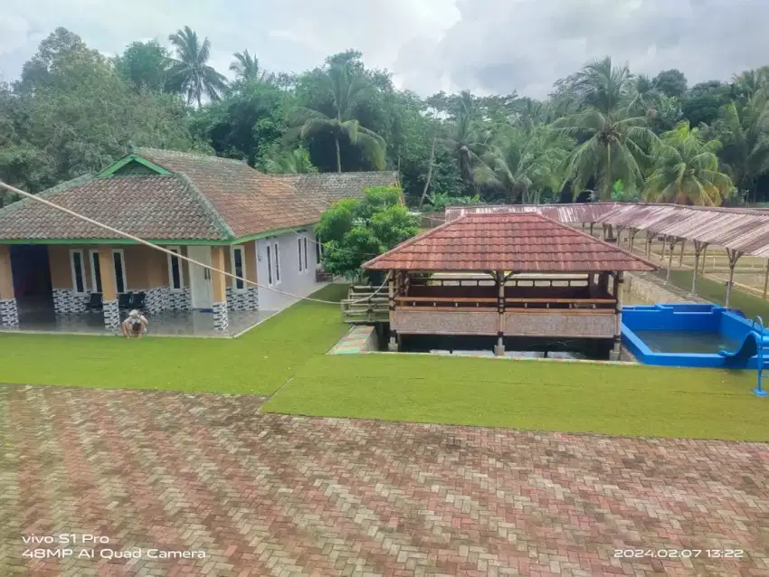 Di Jual Vila+Kolam Ikan Murah Surat SHM Sudah Pagar Keliling