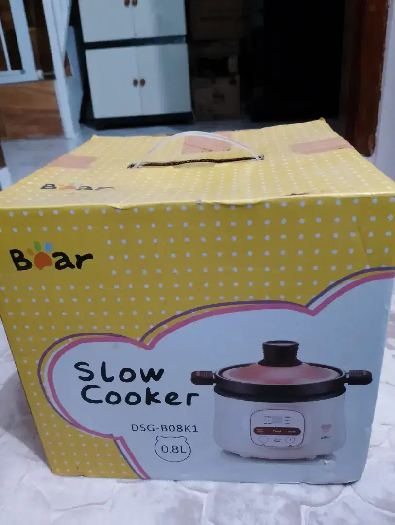 SLOW COOKER DSG 808K1