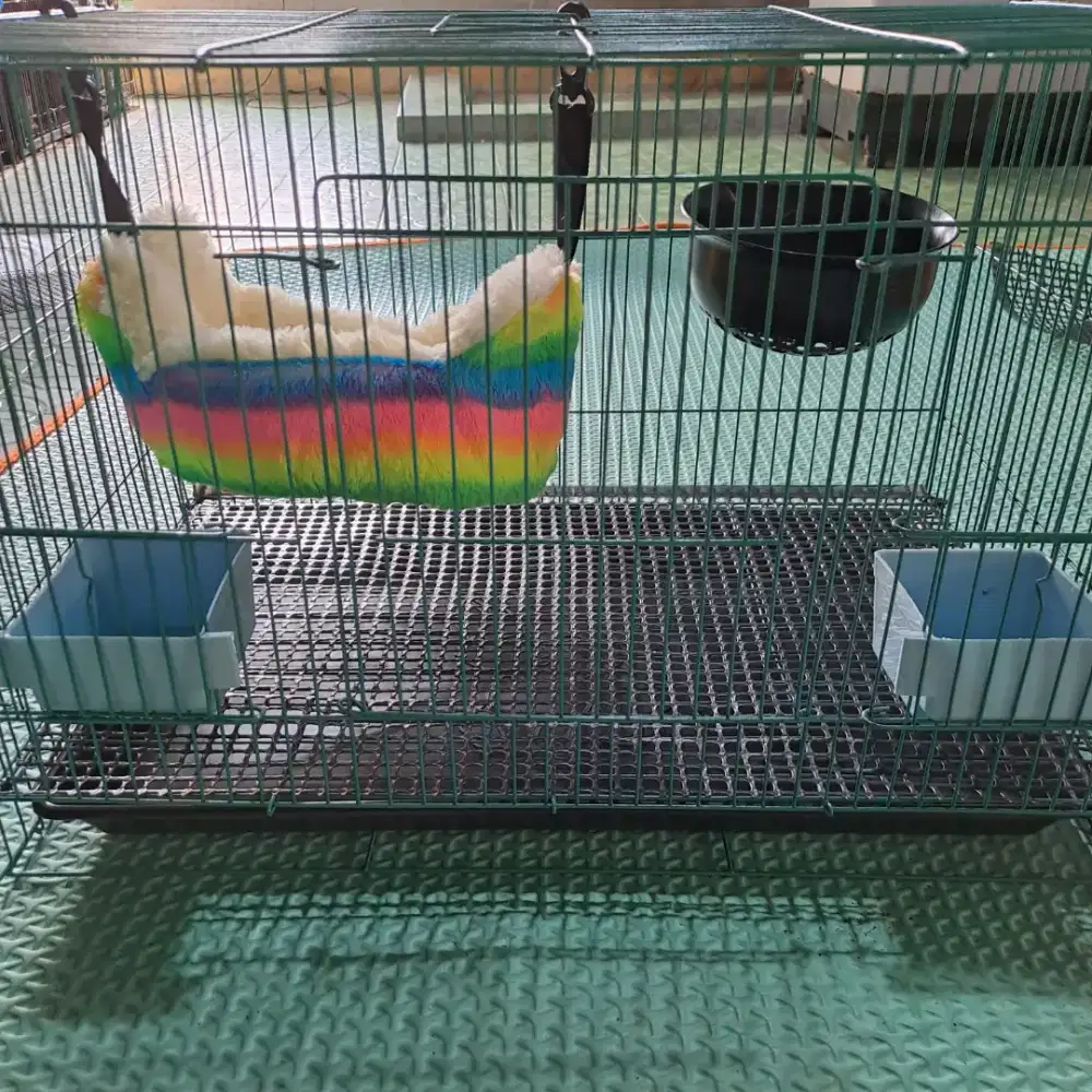 Perlengkapan Sugar Glider