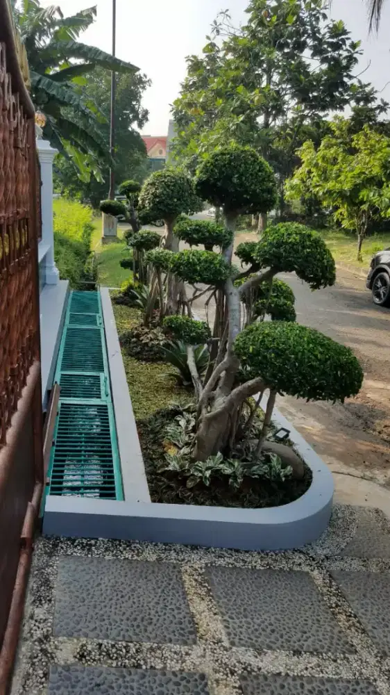 perawatan taman dan pohon buah