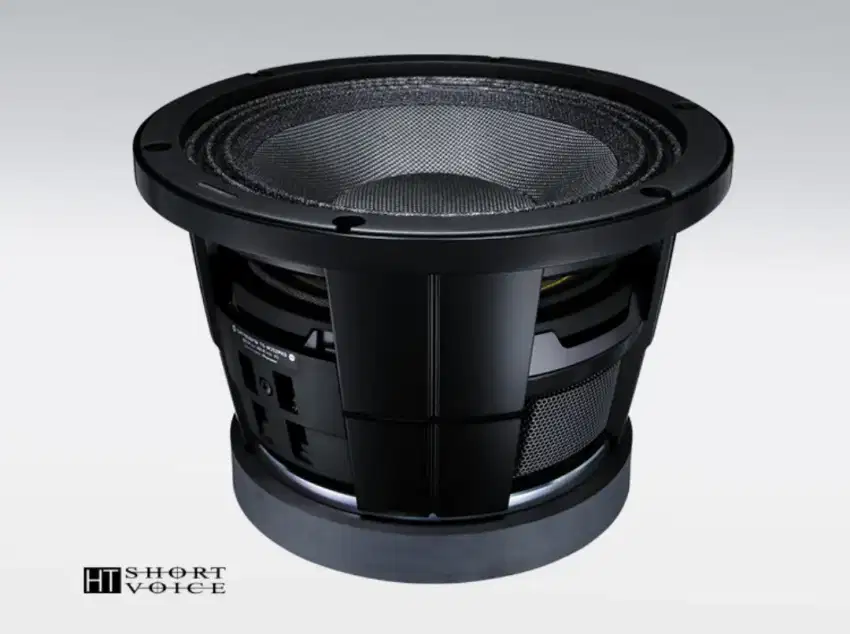 (99% NEW) SUBWOOFER PIONEER ORIGINAL JAPAN TS-W252 PRS