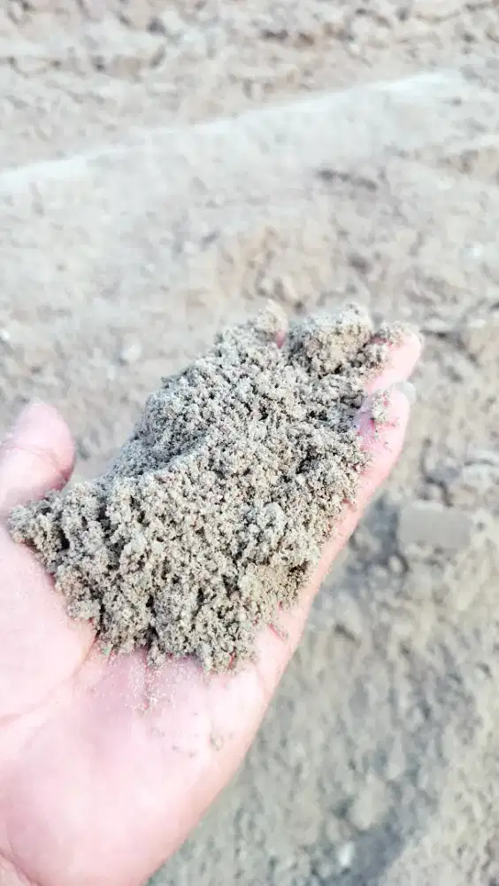 Di jual pasir pasang