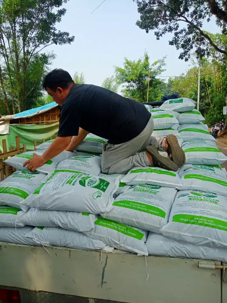 Media Tanam Siap Pakai