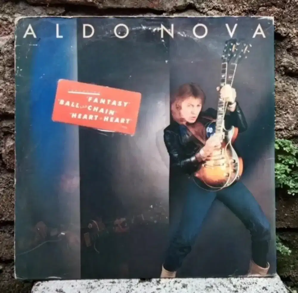 Vinyl piringan hitam band luar negeri