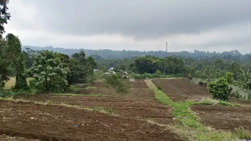 Tanah kebun dekat obyek wisata bedugul tabanan bali.