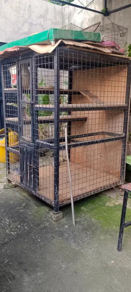 Kandang Kucing atau anjing