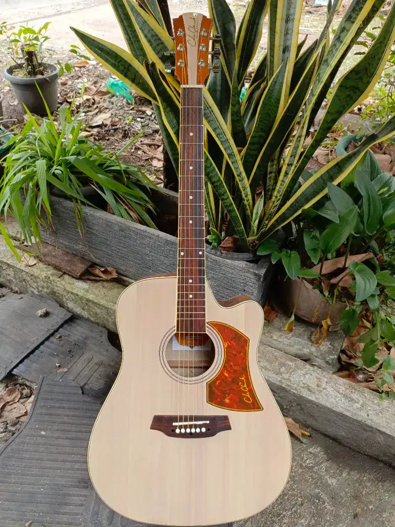 Gitar Akustik Premium Cole Clark Natural