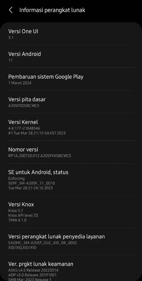 CARI (BUKAN JUAL) Samsung A20s Minus LCD