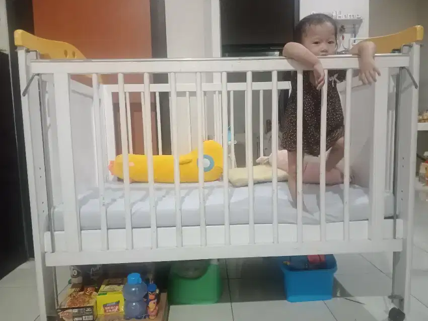 Box Bayi Besar Putih Surabaya