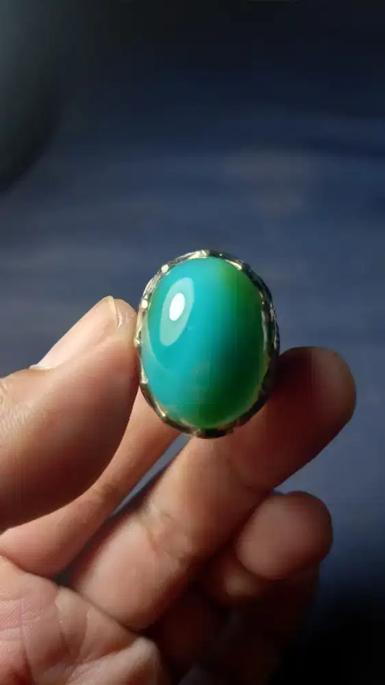 Bacan palamea waringin
