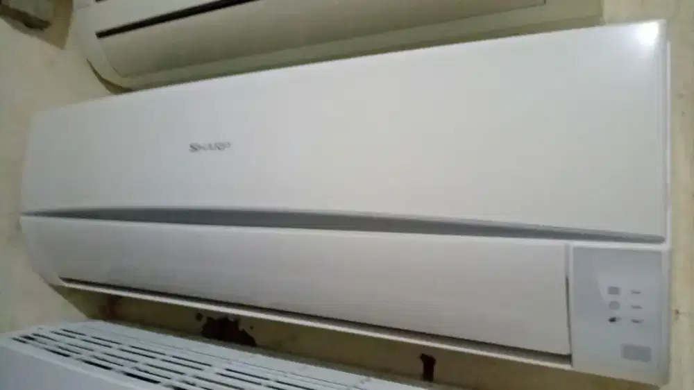 AC Sharp Thailand 1/2pk