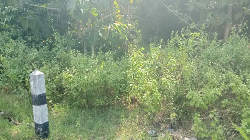 Tanah mangku jln lintas selatan / JLS  panggang Ginung Kidul