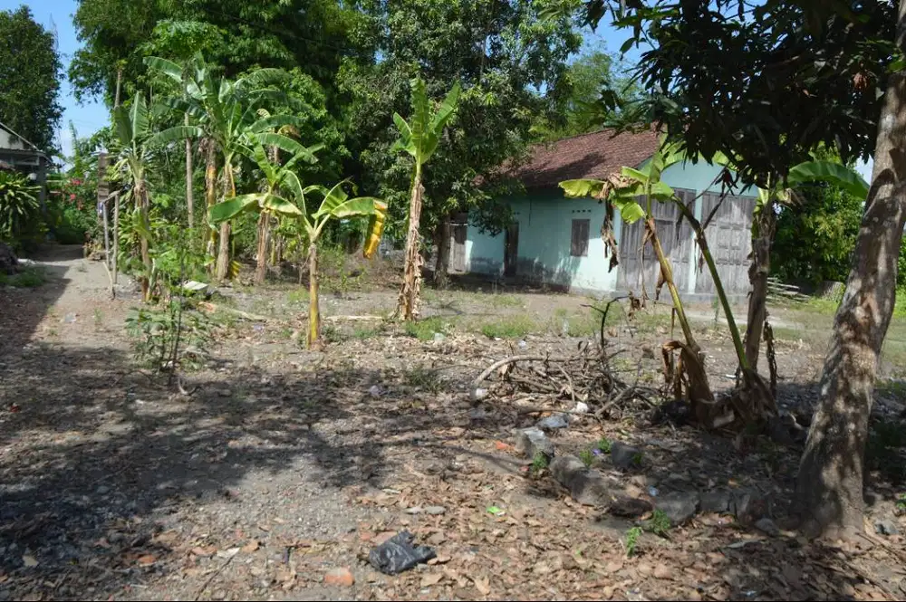 BU, Jual Tanah Pekarangan luas dan murah