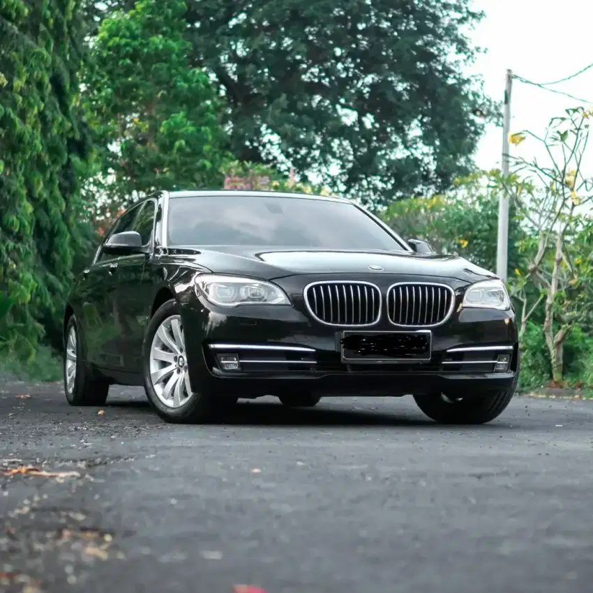 BMW 730Li - 2013 pmk 2015 - DK