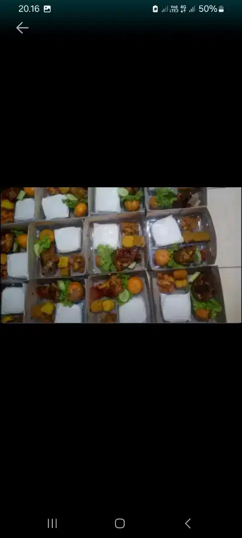 Nasi Box Ayam Bakar Komplit