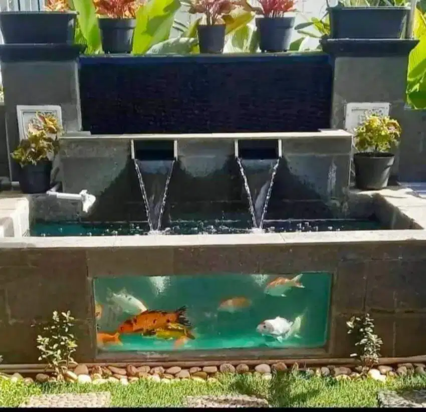 Kolam koi ikan hias