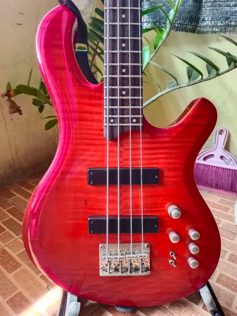 Bass Dame F&P Series