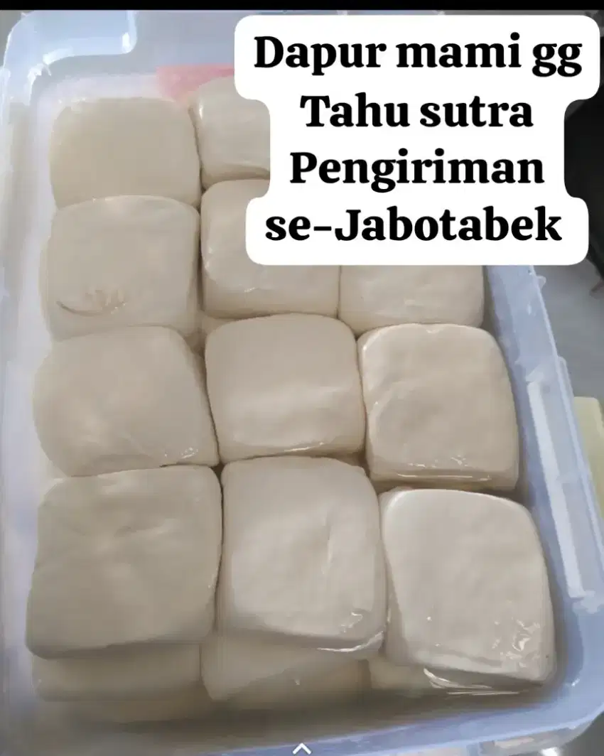 Tahu susu lembut