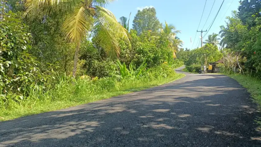 Tanah Kebun Durian Murah Di Jembrana Bali