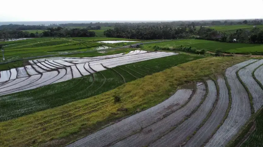Dijual Tanah View Laut Gunung Sawah Terasering Dekat Pantai Di Bali