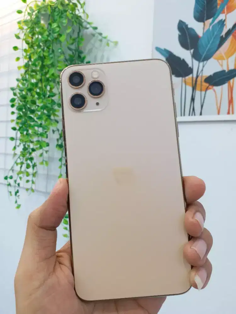 IPHONE 11 PRO MAX  256 GB (imei permanen semua kartu)