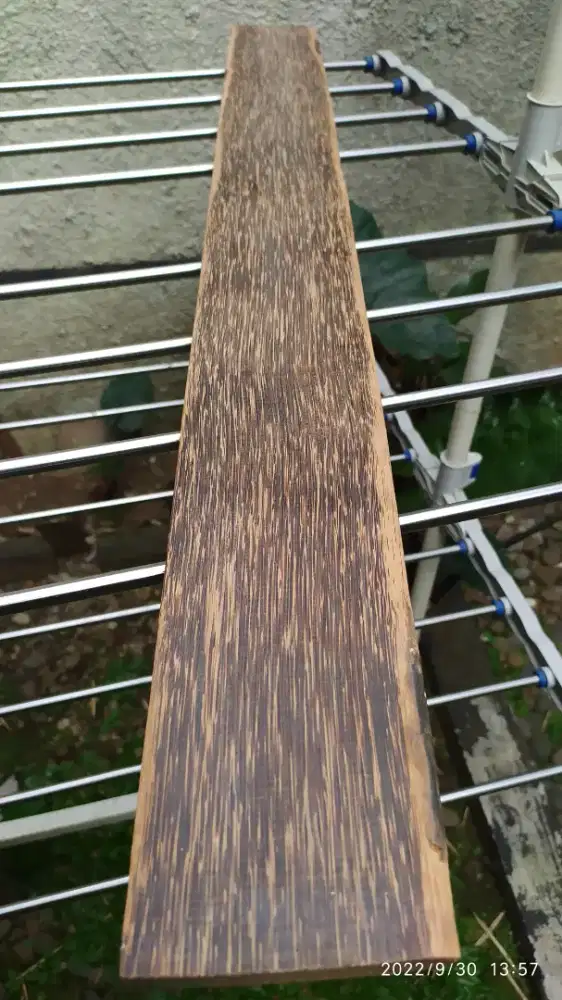 Kayu LIWUNG Asli (Black Palm/Astrocaryum standleyanum)