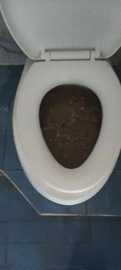 Kran mampet dan sedot WC sepiteng