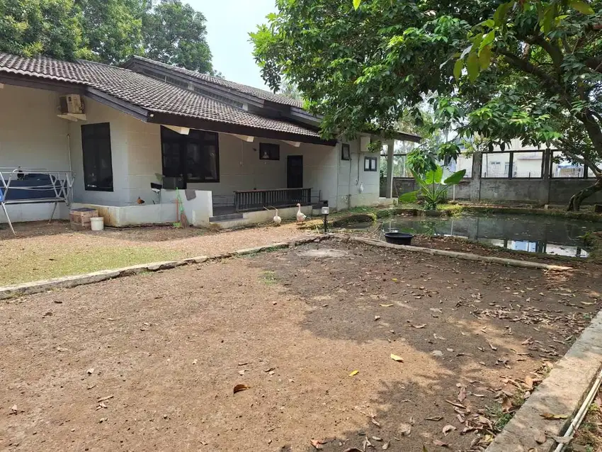 Dijual Rumah Cipedak Jagakarsa 5 Kamar Tidur Halaman Luas